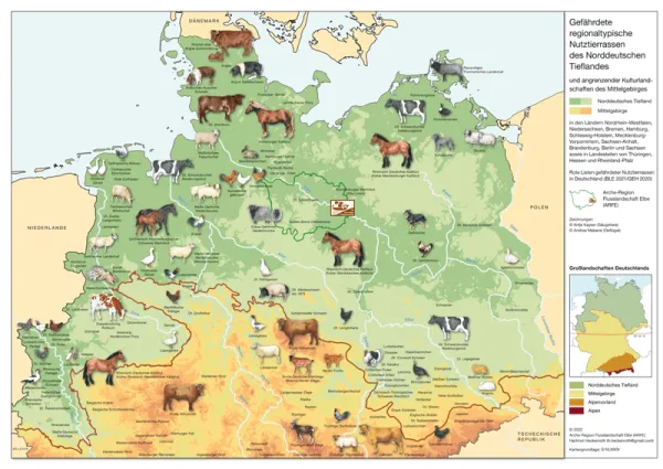 Das Bild zeigt vom Aussterben bedrohte Nutztierrassen in Norddeutschland